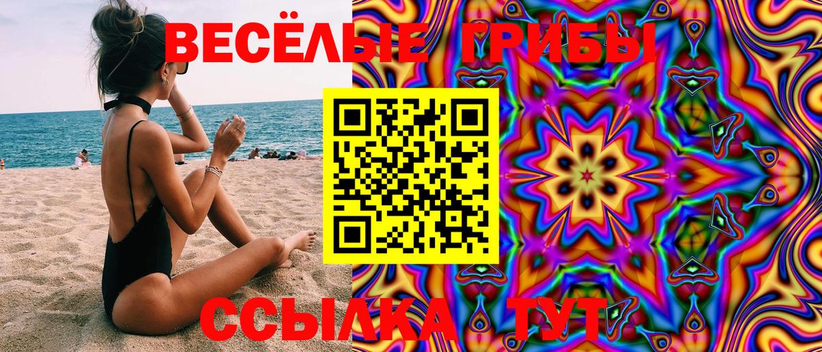Рассказово  Псилоцибиновые грибы Magic Shrooms  Вход с VPN 
